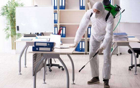 Pest Control Tips For Your Office Building