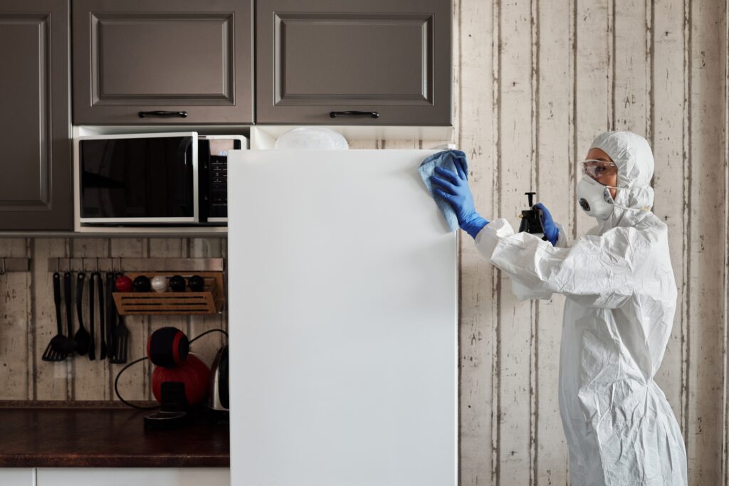 Maintaining Clean Spaces to Prevent Pest Infestations and Promote Hygiene