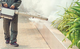 Monsoon Pest Control in Vapi: Essential Tips for a Pest-Free Home