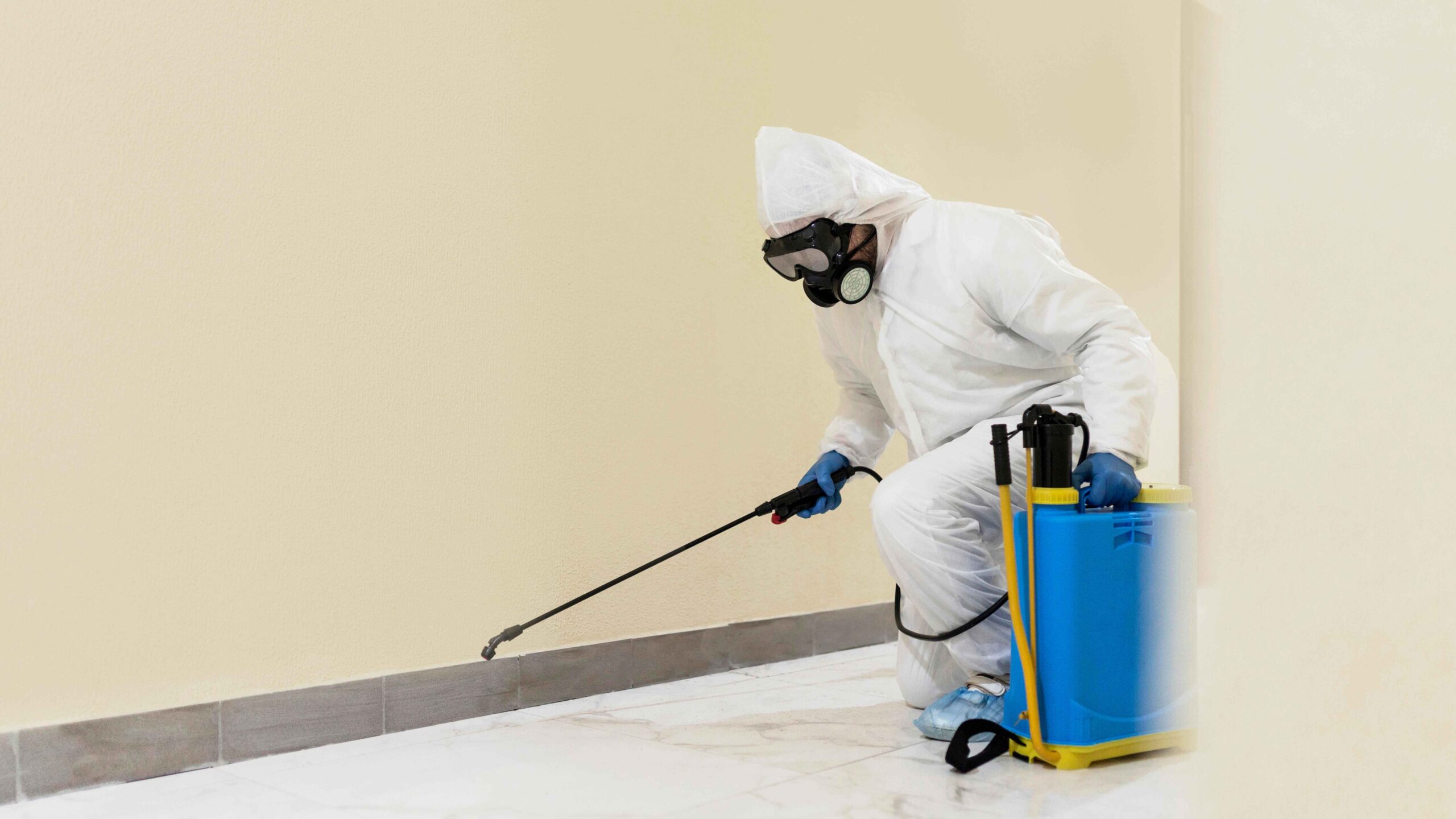 Termite Pest Control in patna