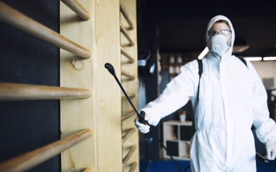 How Cockroach Pest Control Vapi Services Stop Cockroach Breeding in Your Home