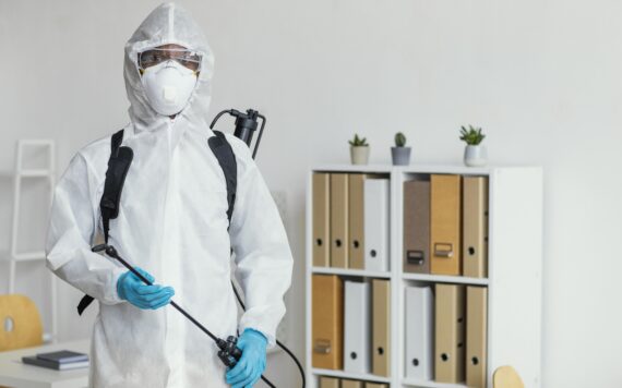 Why Professional Termite Treatment in Ahmedabad Beats DIY Methods Every Time
