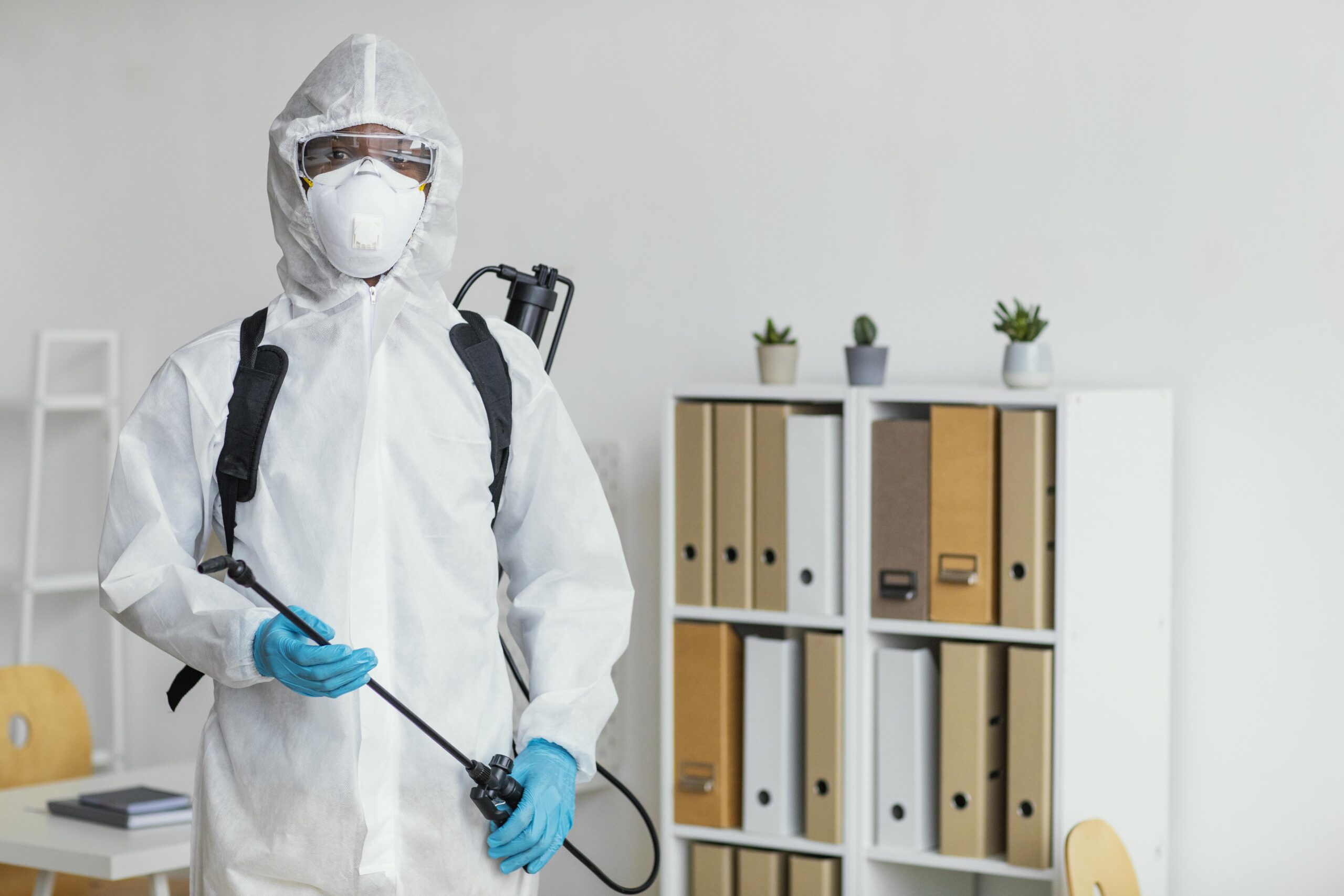Professional Termite Treatment