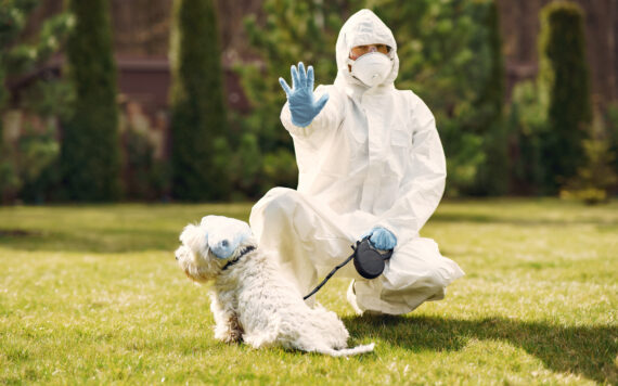 How Cockroach Pest Control Vapi Reduces Allergies and Stress for Pets