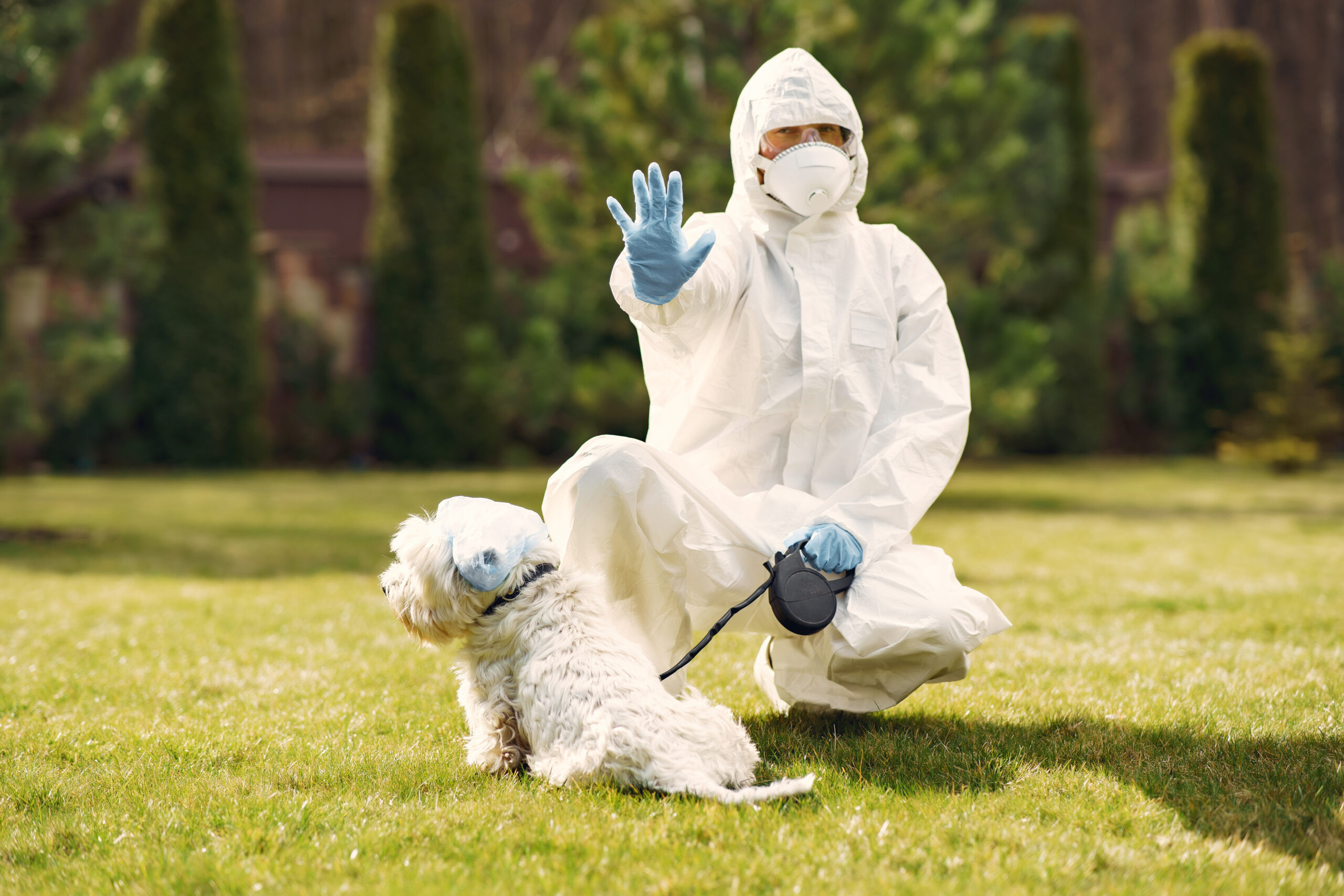 Cockroach pest control for pets