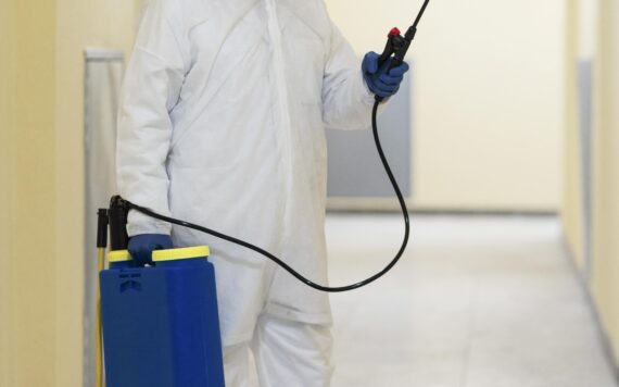 When Is It Too Late To Save Your Wooden Furniture From Termites In Patna ?