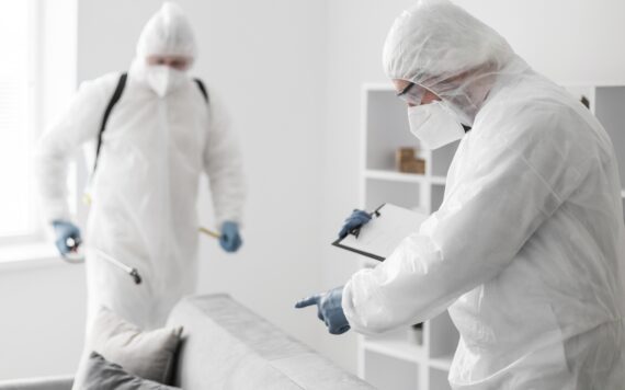 What Is The Difference Between Heat And Chemical Bed Bug Pest Control ?