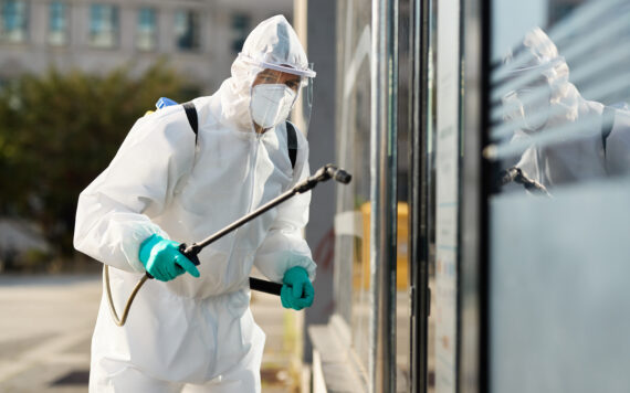 When Is It Too Late To Save Your Wooden Furniture From Termites In Patna ?