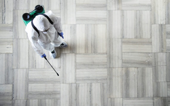 How To Prepare Your Home For Cockroach Pest Control Vapi Service